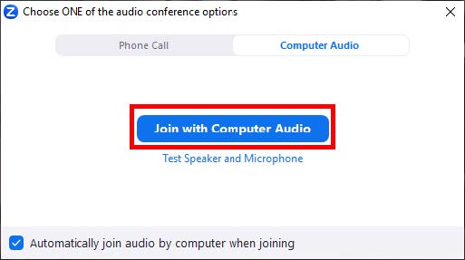 Zoom meeting audio opitions.